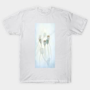 Le Grazie (Graces) T-Shirt